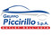 Logo Gruppo Piccirillo Spa Roma